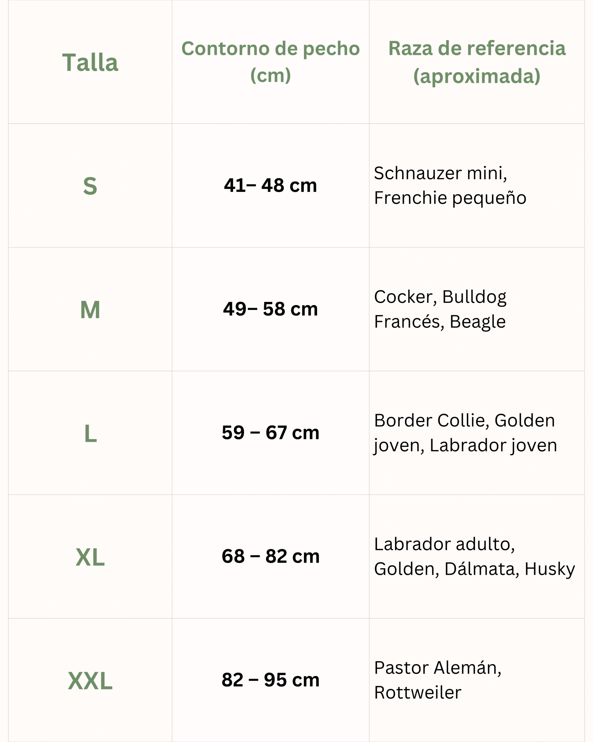 REALES MEDIDAS DEL ROCOFIT scaled