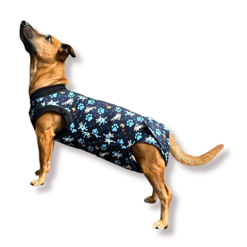 Cono isabelino vs alternativa 1 sparky y la pijama